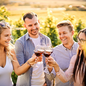 Group enjoying wine outdoors