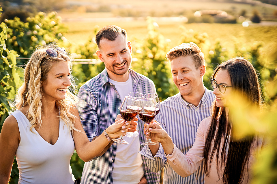 Group enjoying wine outdoors