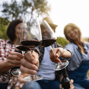 Friends toasting with red wine outdoors
