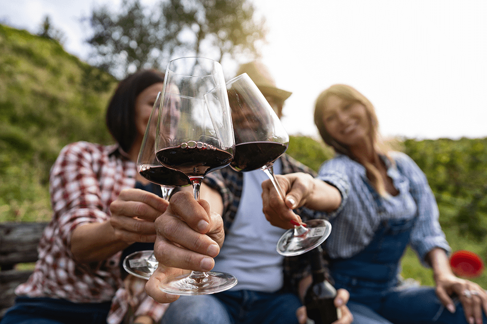 Friends toasting with red wine outdoors